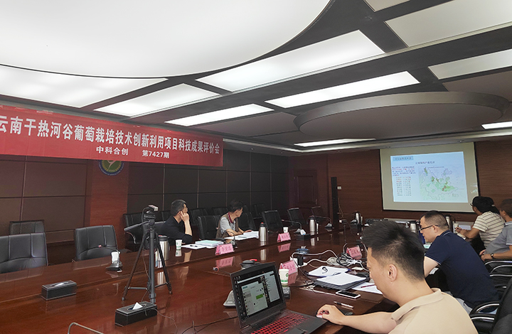 云南干热河谷葡萄栽培技术创新利用 anli.jpg